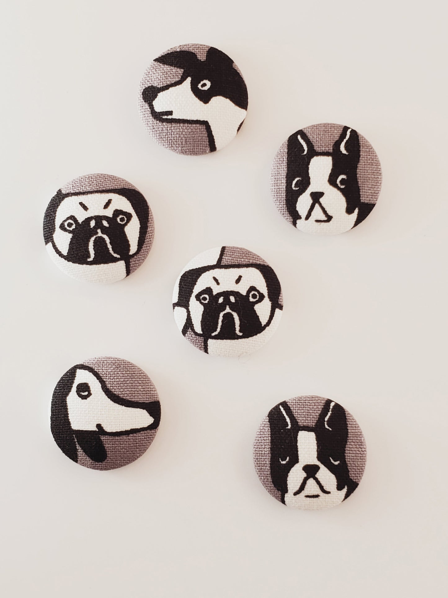 Black and White Dog Magnets