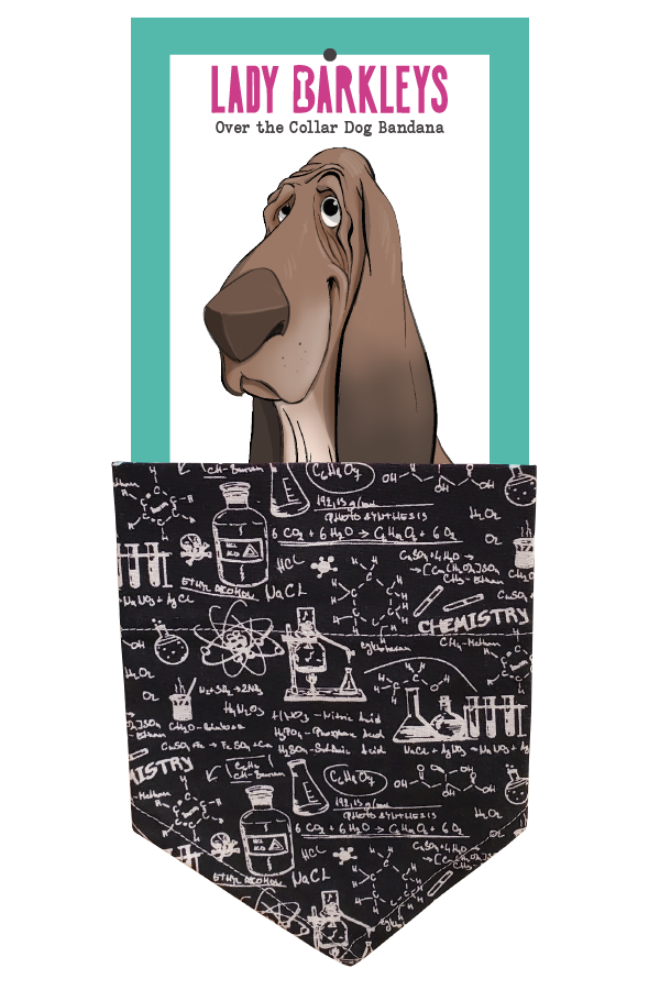 The Canine Chemist Science Print Over the Collar Dog Bandana – Slide-On Design - Handmade over-the-collar dog bandana, stylish and comfortable for pets.