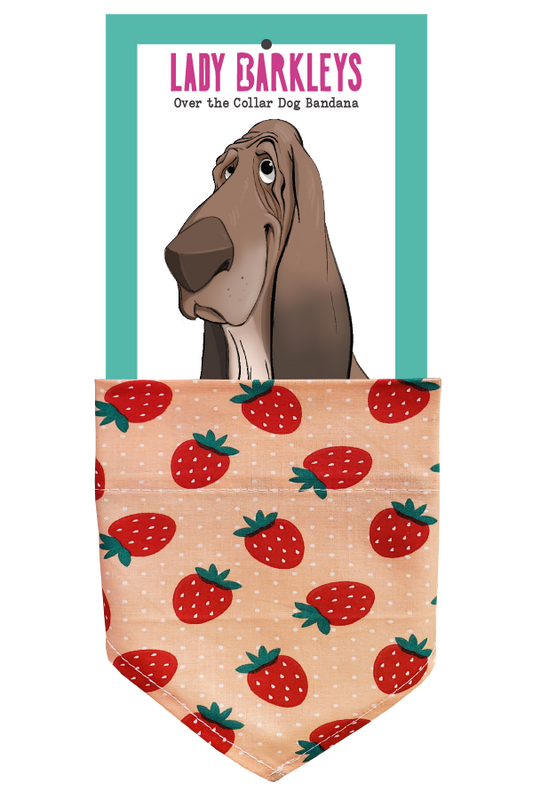 Berrylicious Dog Bandana - Handmade over-the-collar dog bandana, stylish and comfortable for pets.