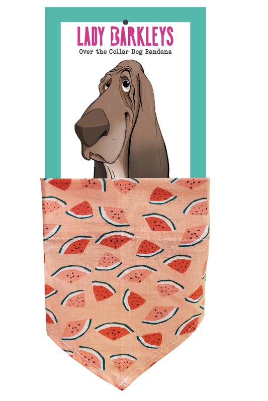 Dainty Watermelon Dog Bandana – Handmade Slide-On Collar Bandana - Handmade over-the-collar dog bandana, stylish and comfortable for pets.