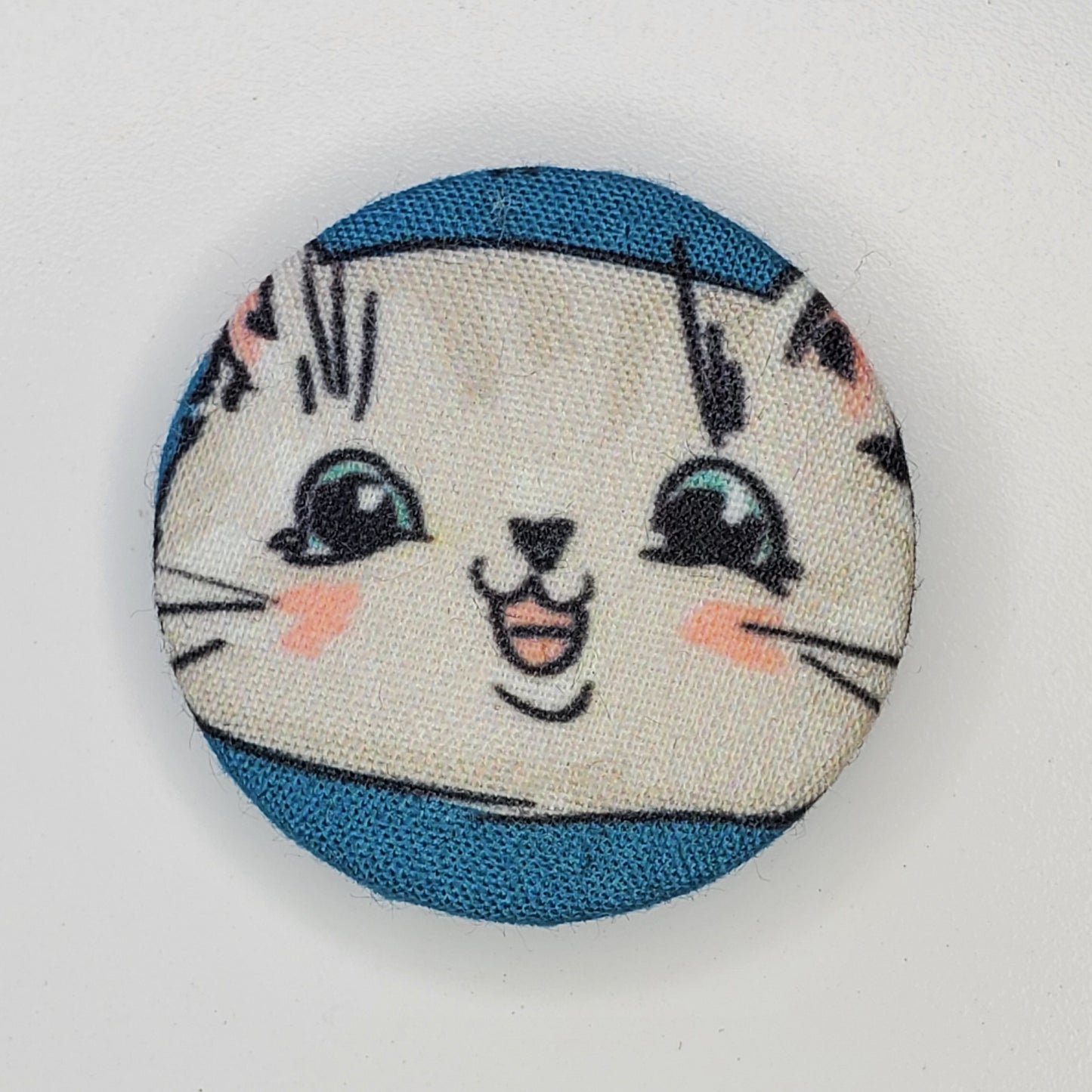 Blue Cat Meow Magnet Set