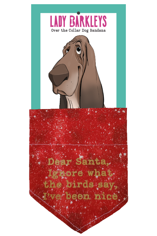 Dear Santa Ignore What the Birds Say Over the Collar Dog Bandana – Slide-On Design - Handmade over-the-collar dog bandana, stylish and comfortable for pets.