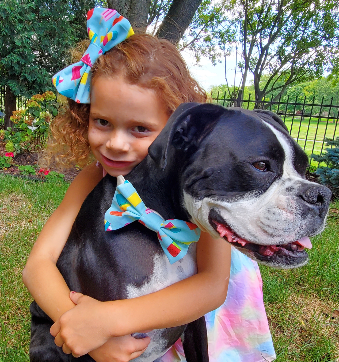 Popsicle Matching Best Friend Bow Set