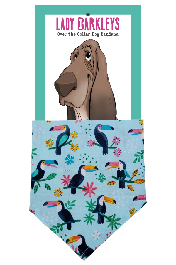 Toucan print Over the Collar Dog Bandana