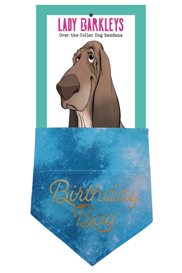 Birthday Boy Over the Collar Dog Bandana - Slide on design - Handmade over-the-collar dog bandana, stylish and comfortable for pets.