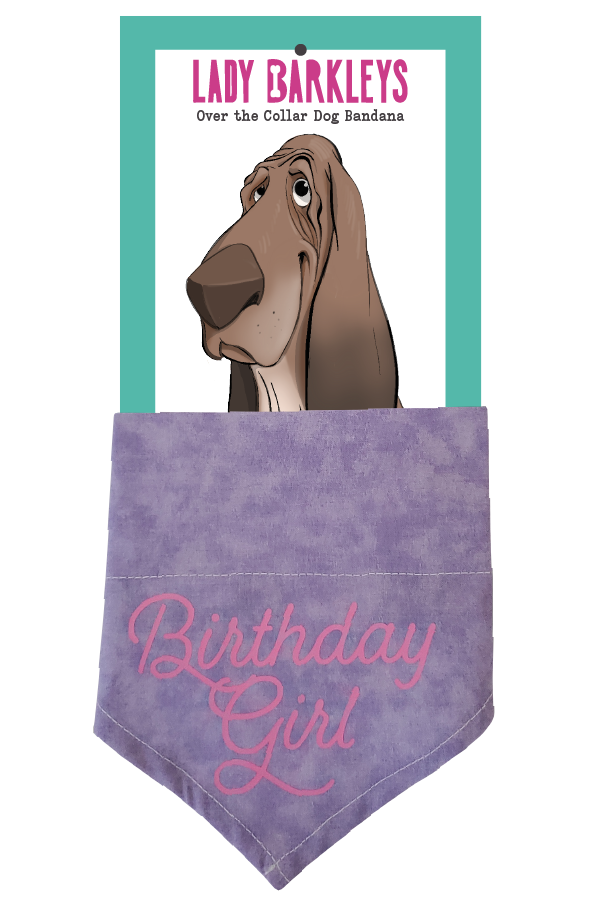 Birthday Girl Over the Collar Dog Bandana - Slide on design - Handmade over-the-collar dog bandana, stylish and comfortable for pets.