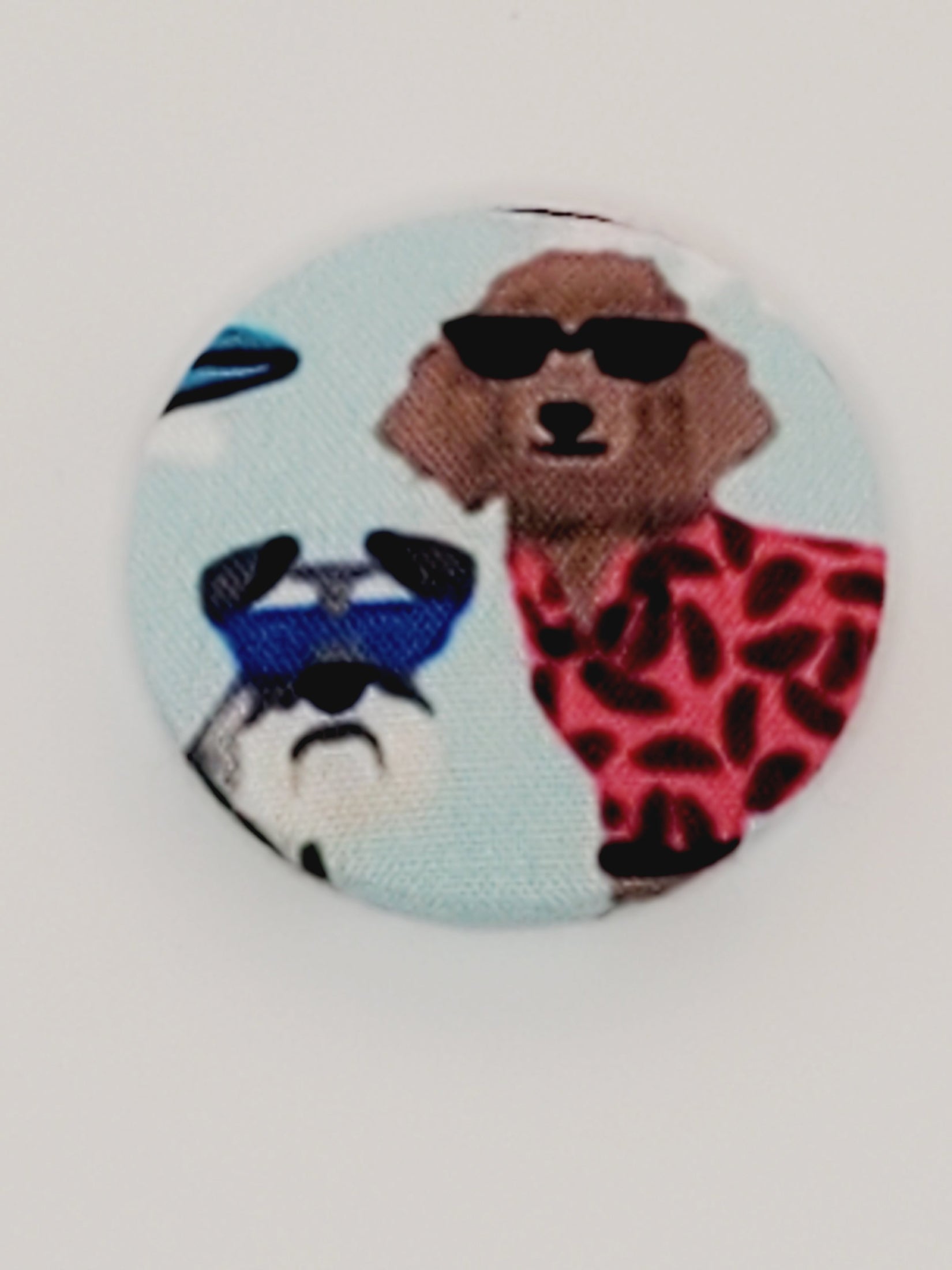 Surfer Dogs Mutt Dog Magnet Set