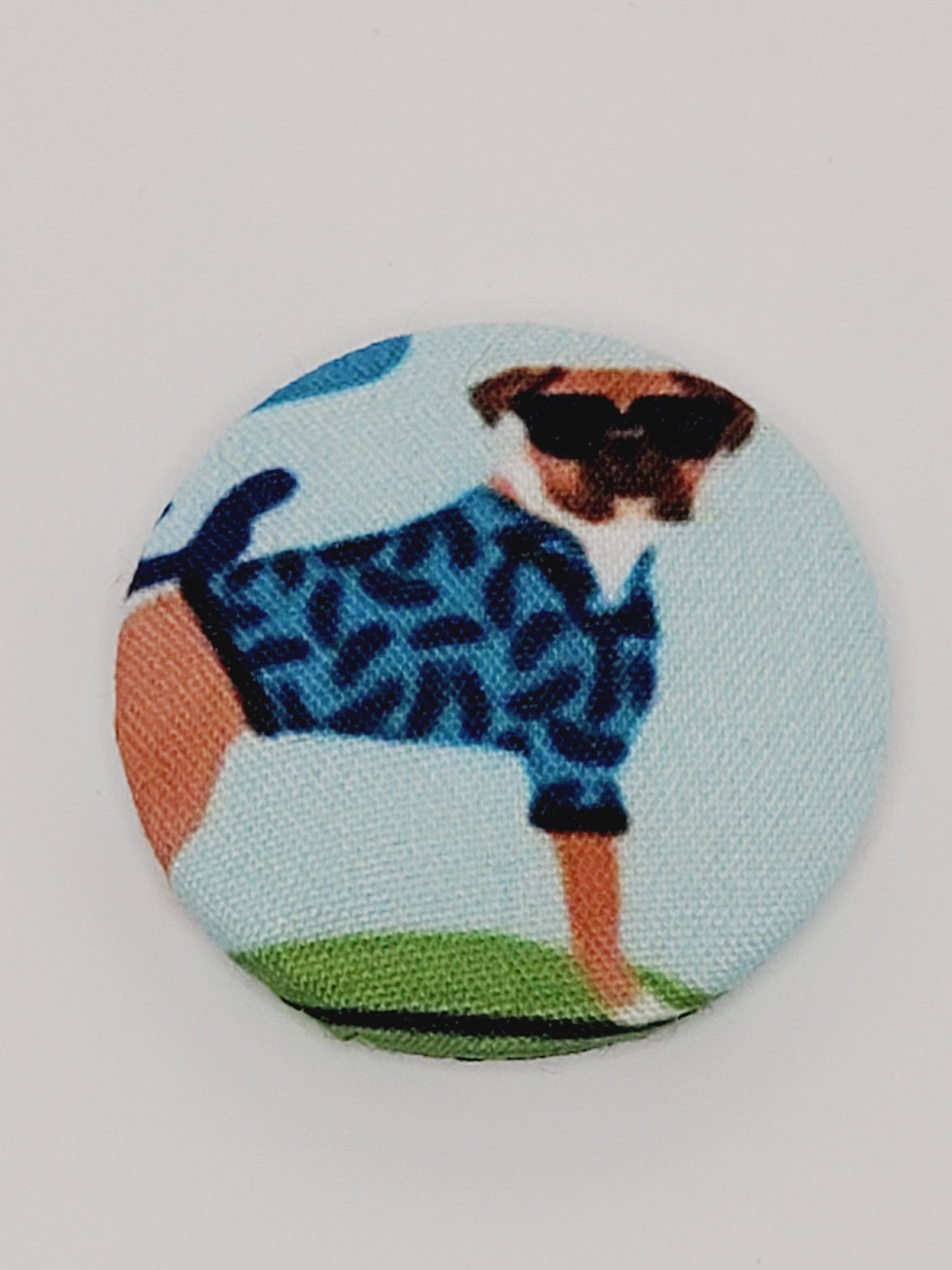 Surfer Dogs Mutt Dog Magnet Set