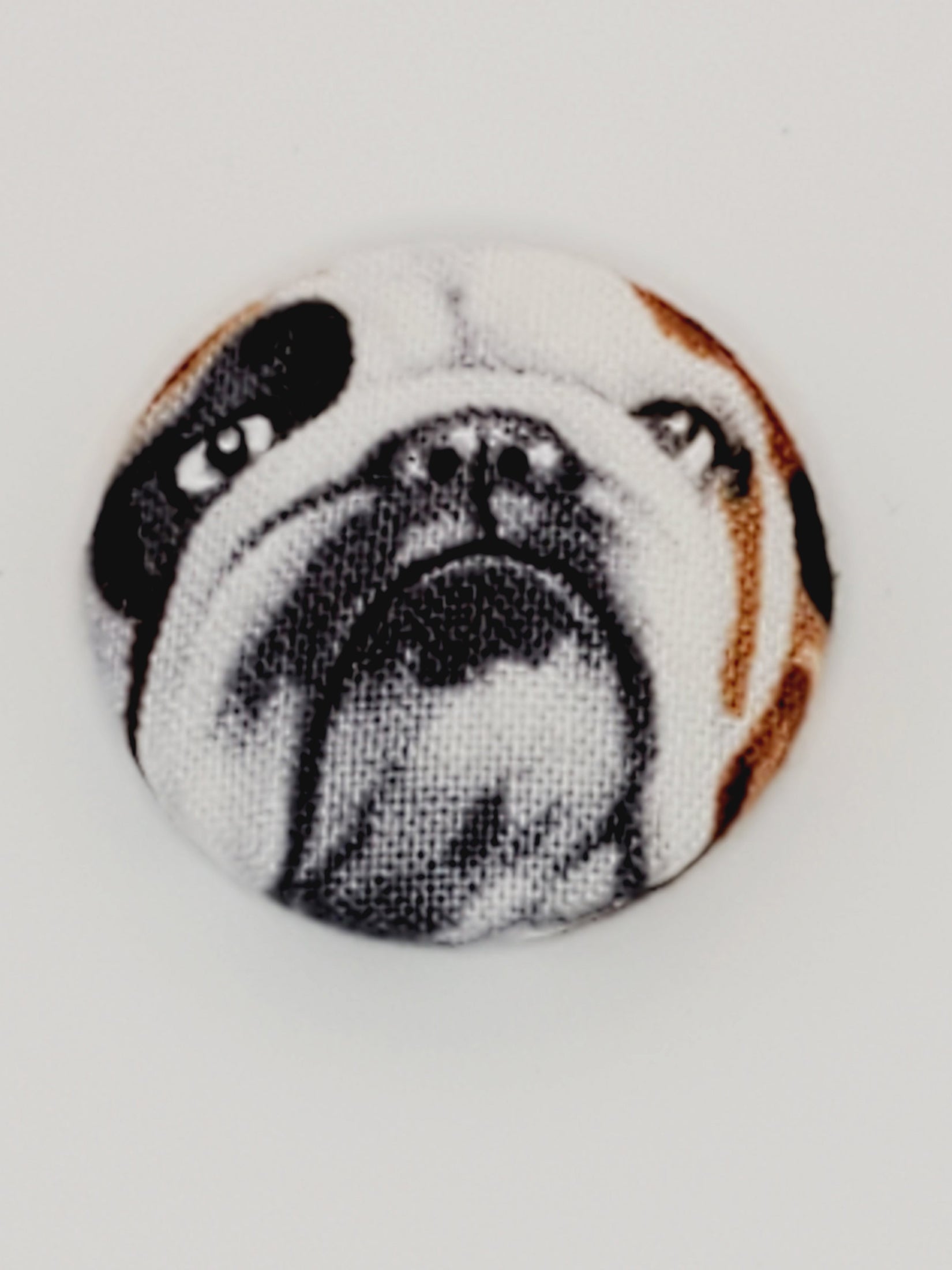 Bulldog Mutt Magnet Set