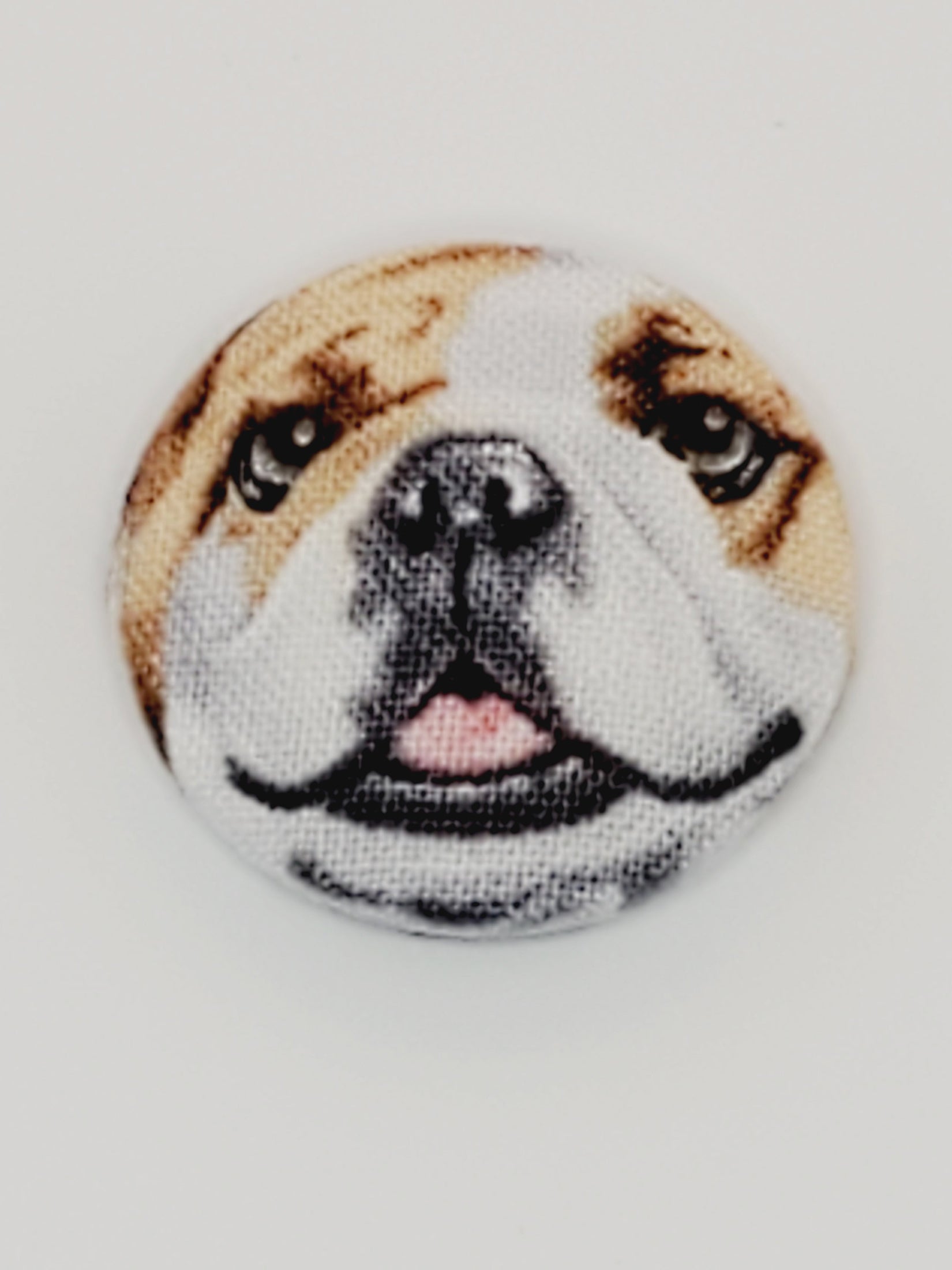 Bulldog Mutt Magnet Set