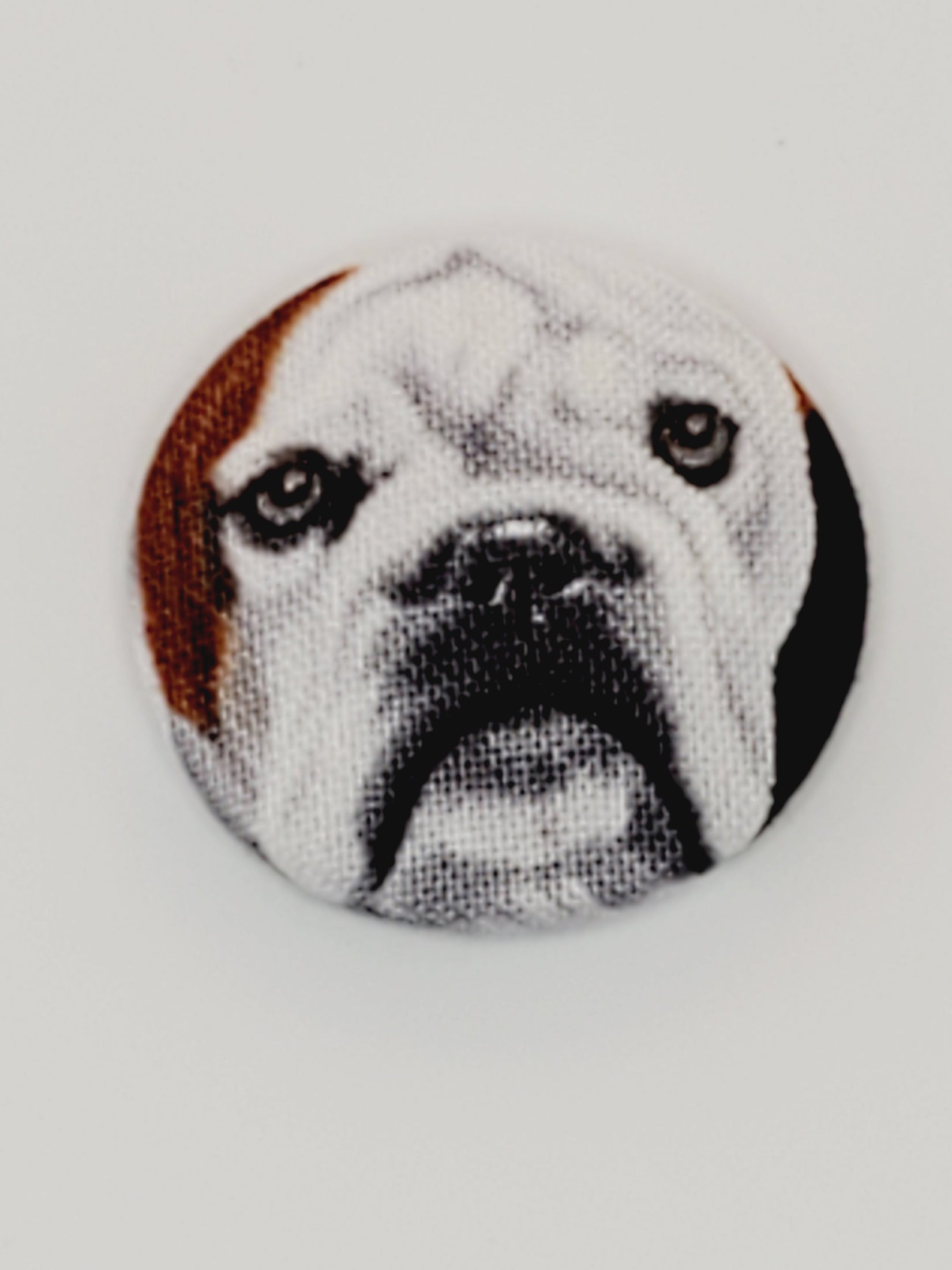 Bulldog Mutt Magnet Set