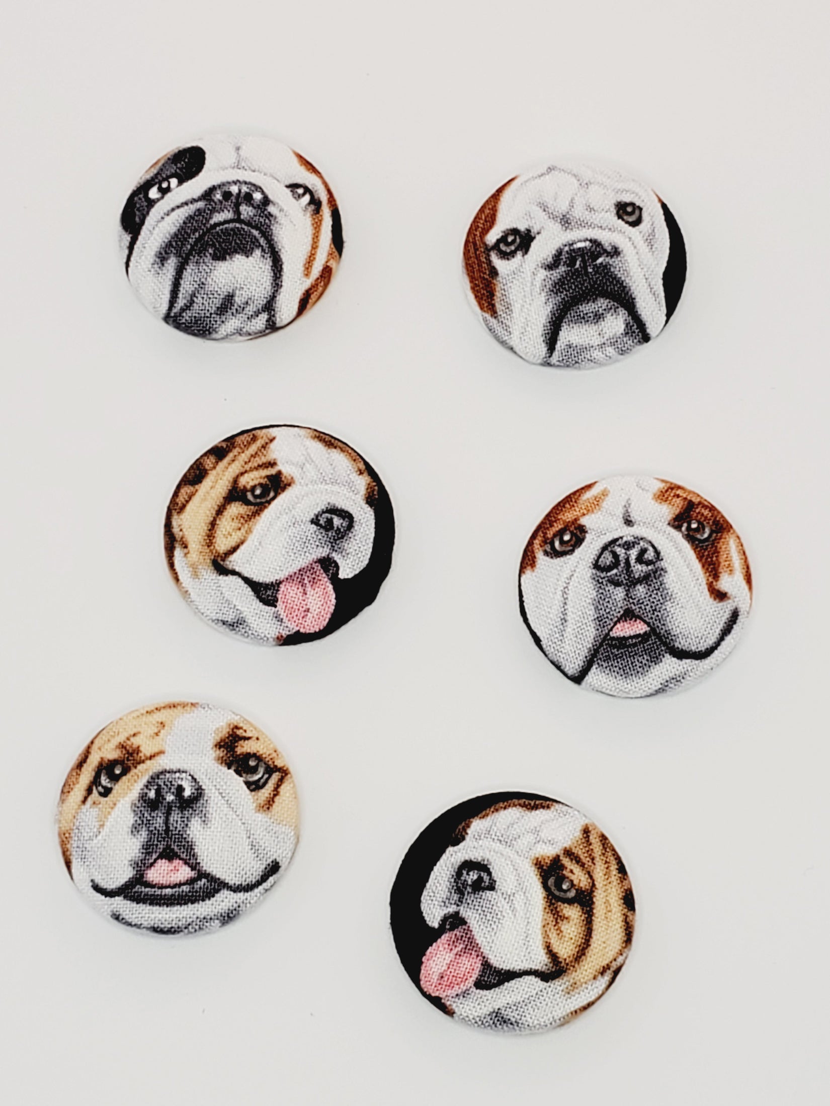 Bulldog Mutt Magnet Set