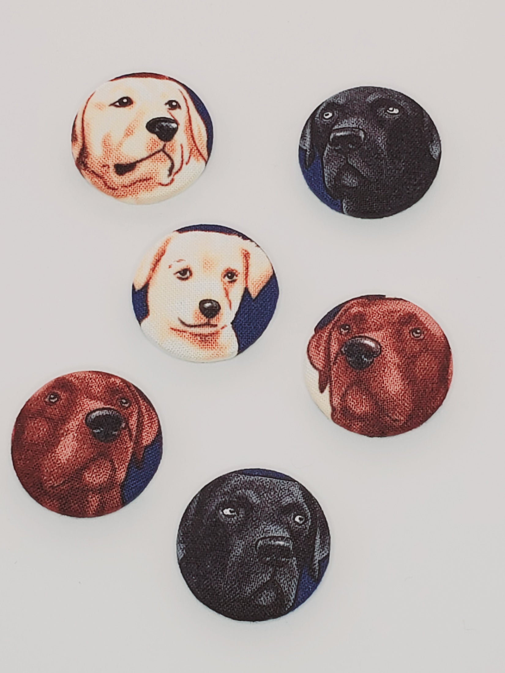 Labrador Retriever Mutt Magnet Set