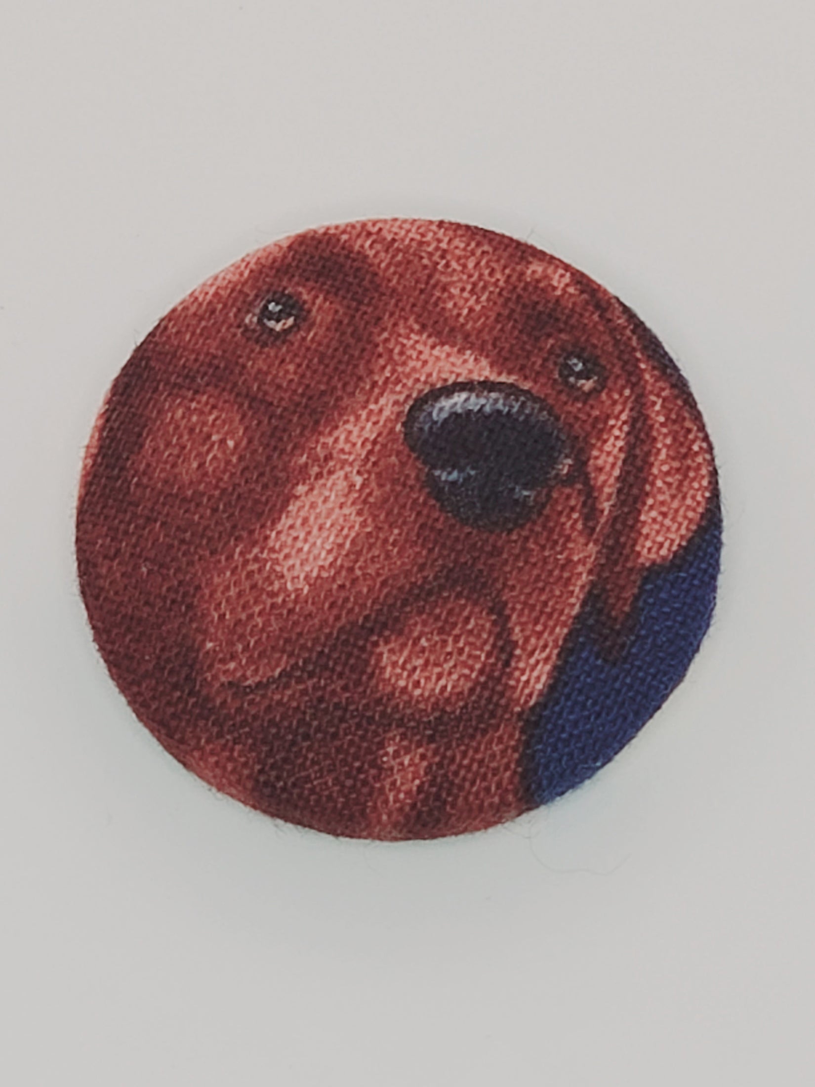 Labrador Retriever Mutt Magnet Set