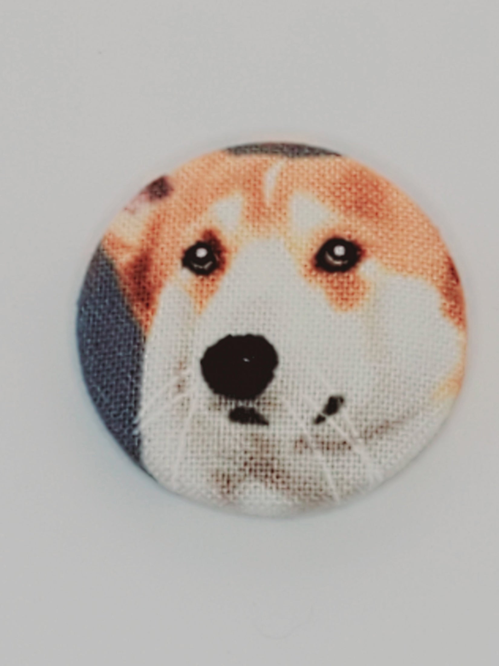Adorable Corgi Mutt Magnet Set