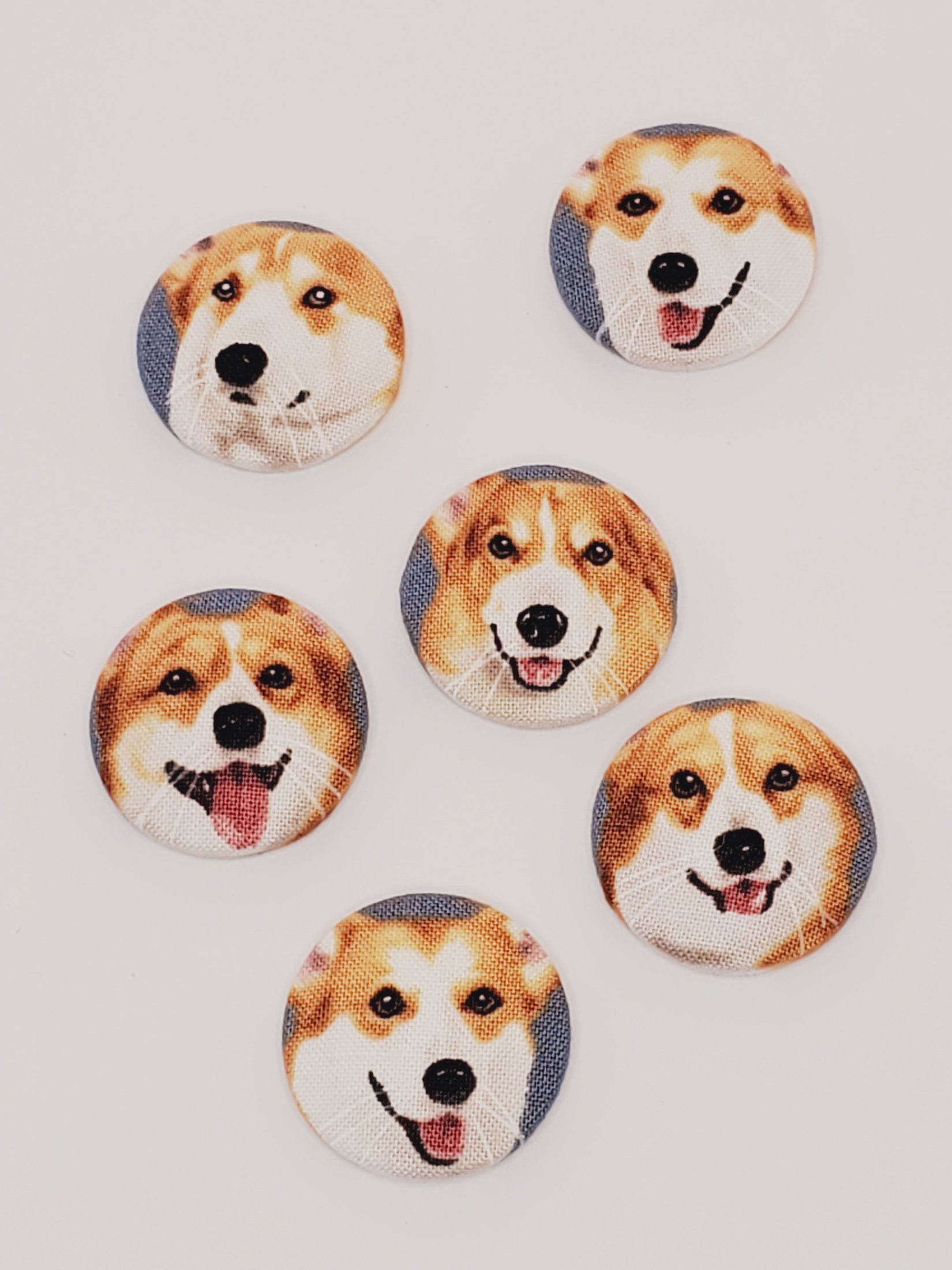 Adorable Corgi Mutt Magnet Set