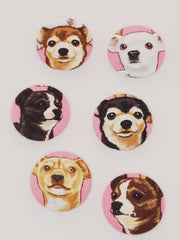 Chihuahua Mutt Magnet Set