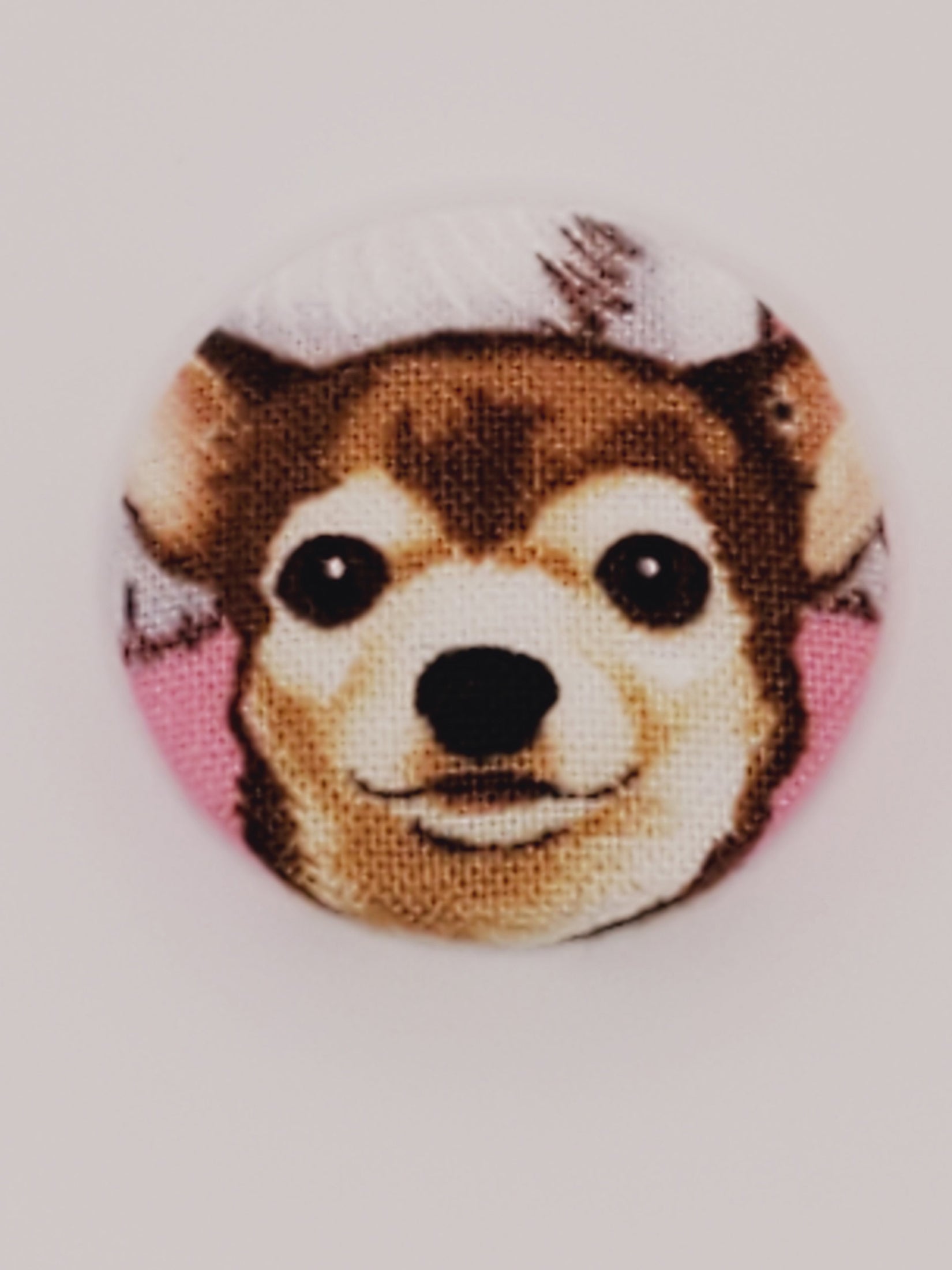 Chihuahua Mutt Magnet Set