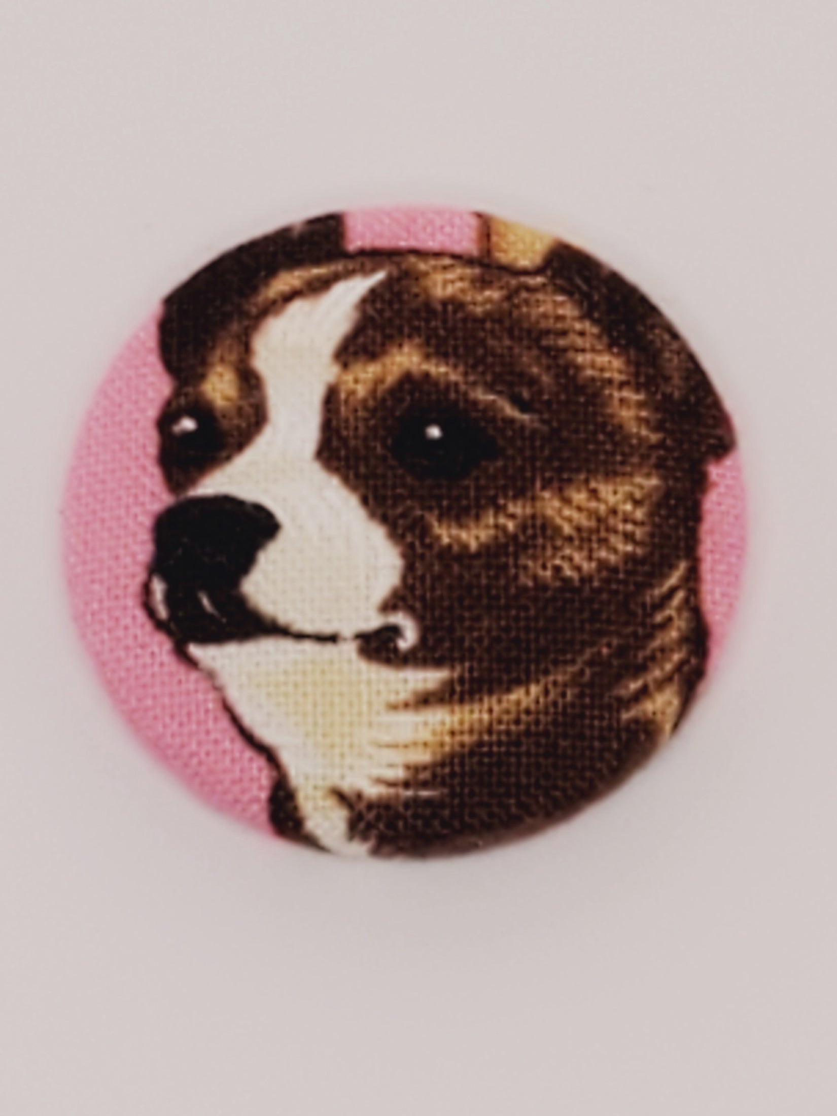Chihuahua Mutt Magnet Set