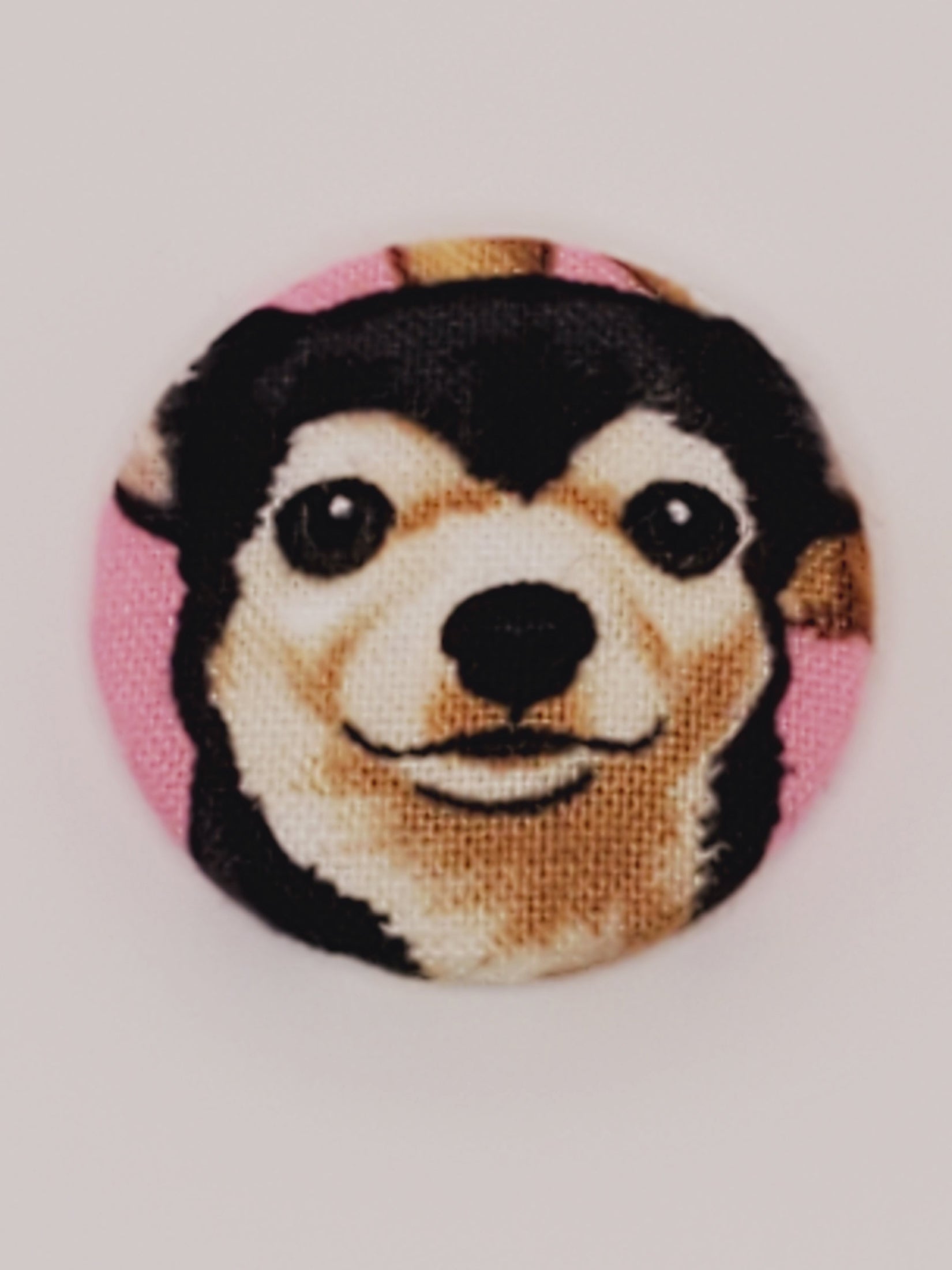 Chihuahua Mutt Magnet Set