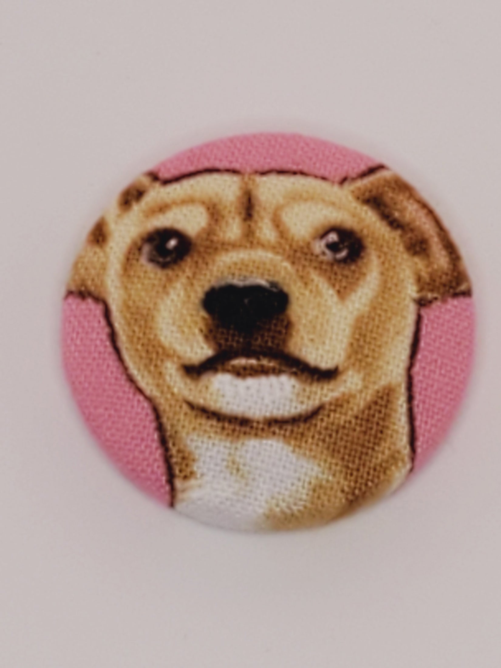 Chihuahua Mutt Magnet Set