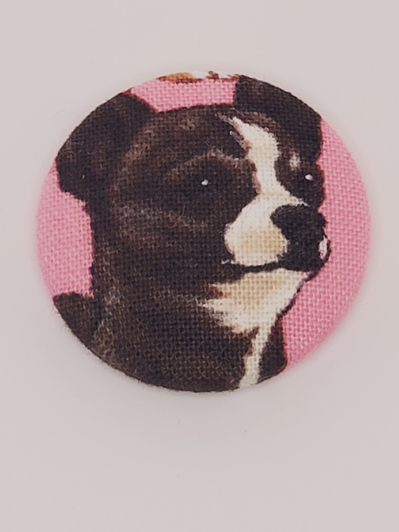 Chihuahua Mutt Magnet Set