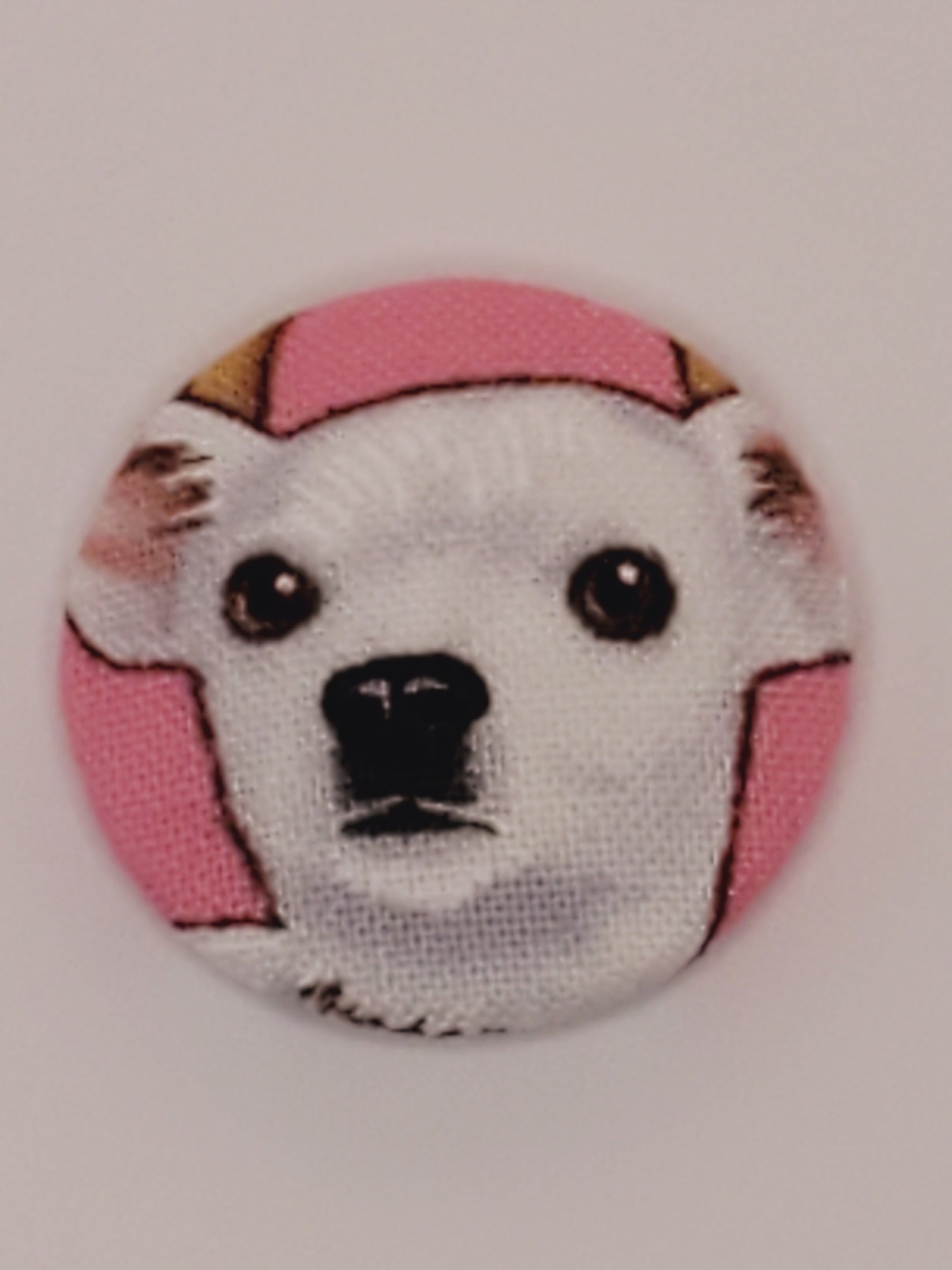 Chihuahua Mutt Magnet Set