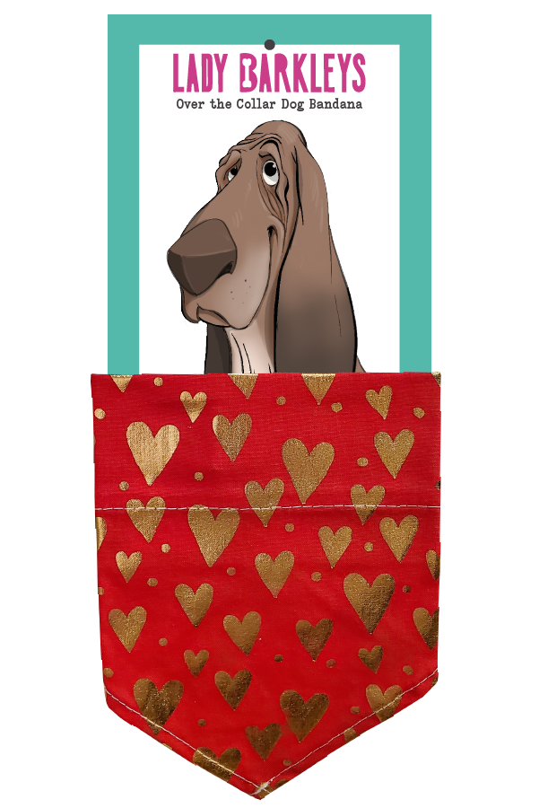 Valentine Love Hearts Dog Bandana