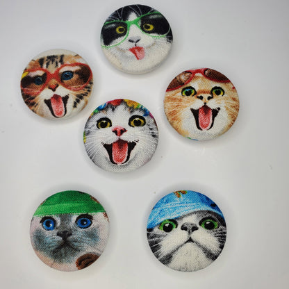 Silly Cats Meow Magnet Set