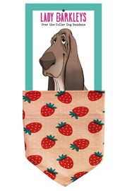 Berrylicious Dog Bandana - Handmade over-the-collar dog bandana, stylish and comfortable for pets.