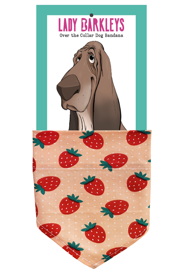 Berrylicious Dog Bandana - Handmade over-the-collar dog bandana, stylish and comfortable for pets.