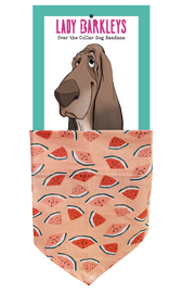 Dainty Watermelon Dog Bandana – Handmade Slide-On Collar Bandana - Handmade over-the-collar dog bandana, stylish and comfortable for pets.