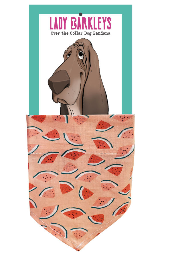 Dainty Watermelon Dog Bandana – Handmade Slide-On Collar Bandana - Handmade over-the-collar dog bandana, stylish and comfortable for pets.