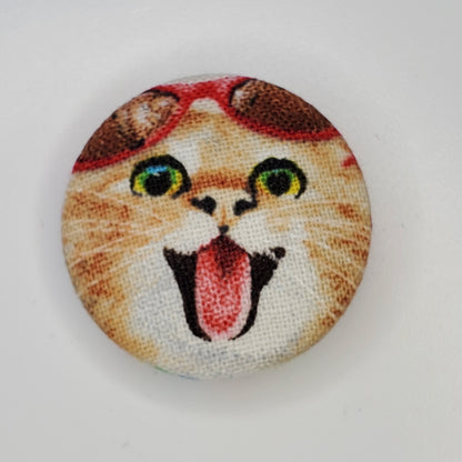 Silly Cats Meow Magnet Set