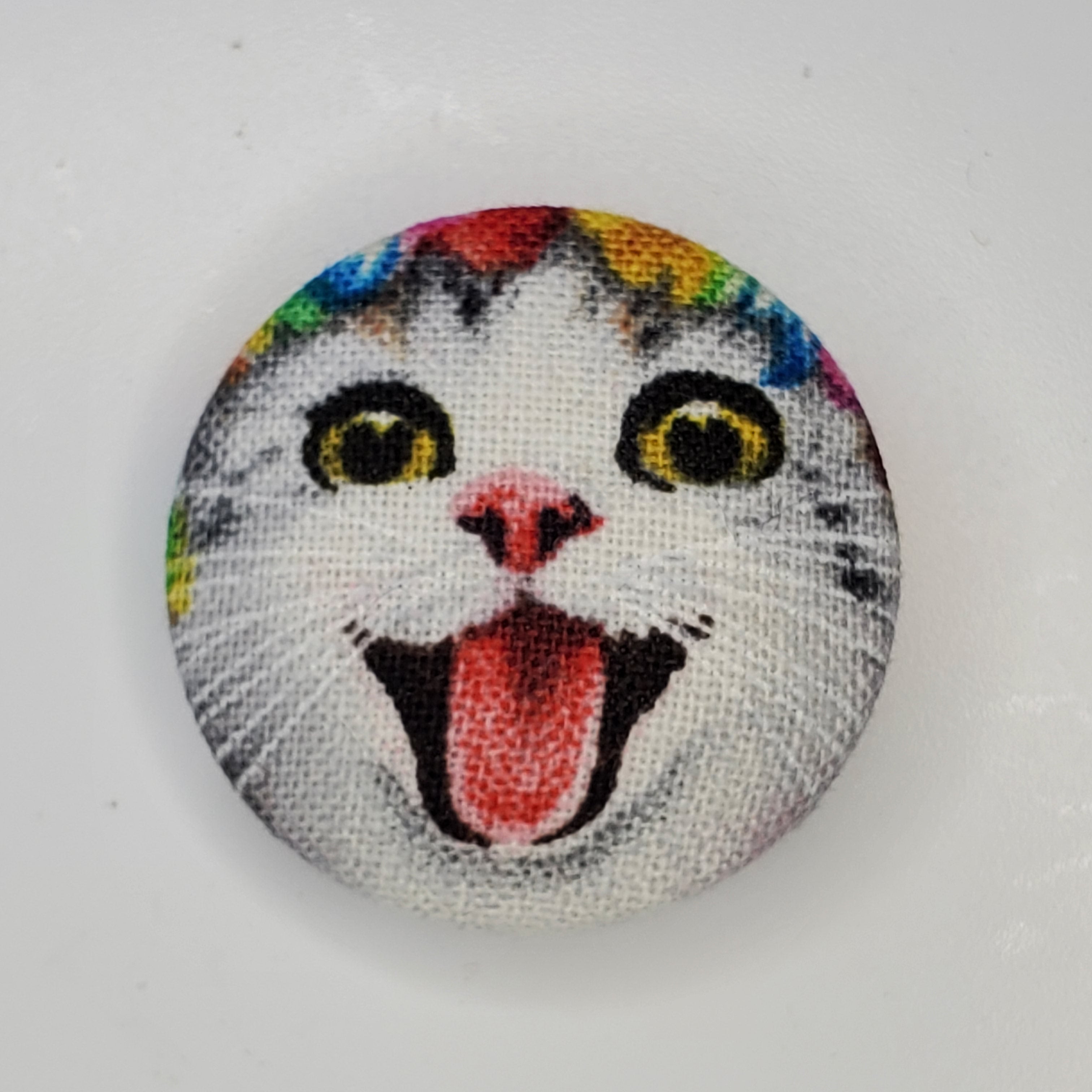 Silly Cats Meow Magnet Set