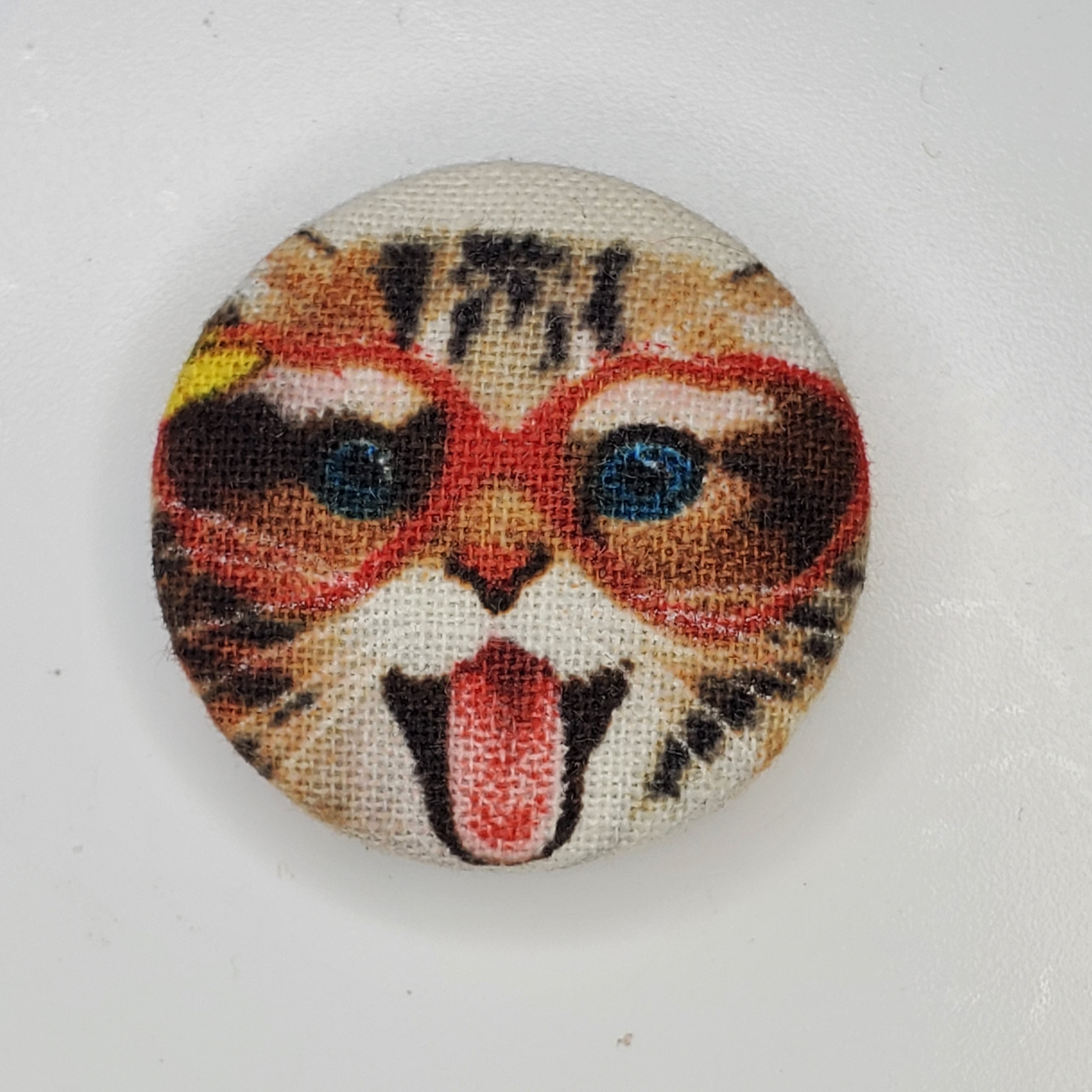 Silly Cats Meow Magnet Set