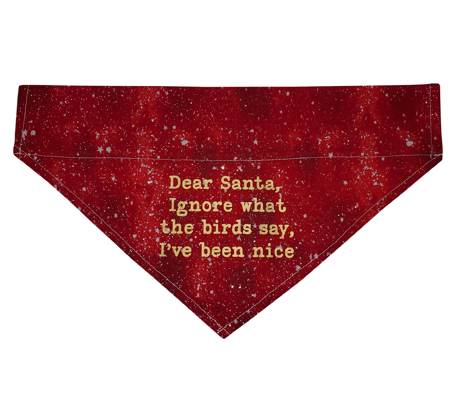 Dear Santa, Ignore What the Birds Say, I've Been Nice