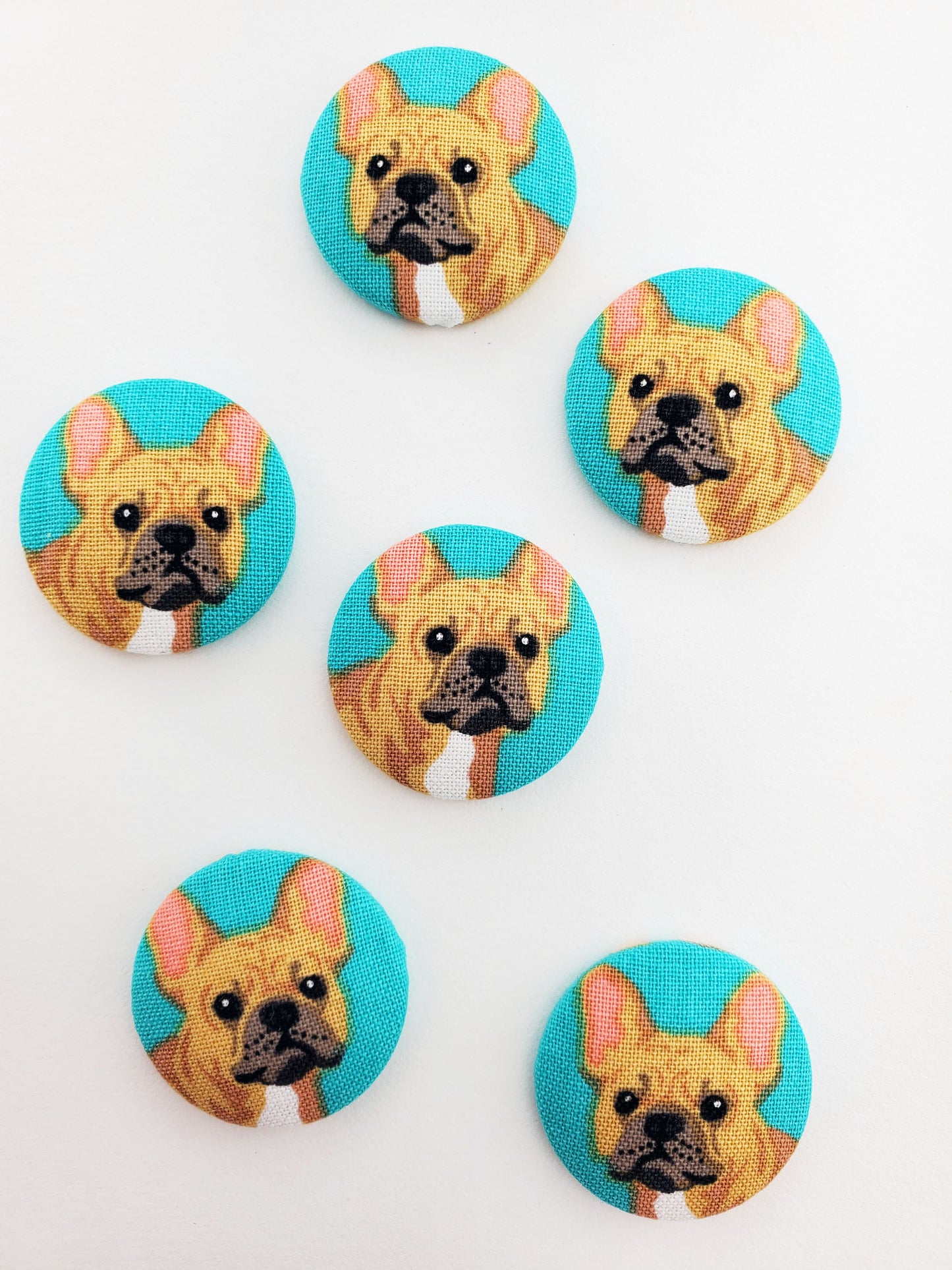 Turquoise French Bulldog Magnets