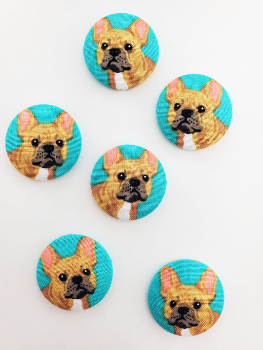 Turquoise French Bulldog Magnets