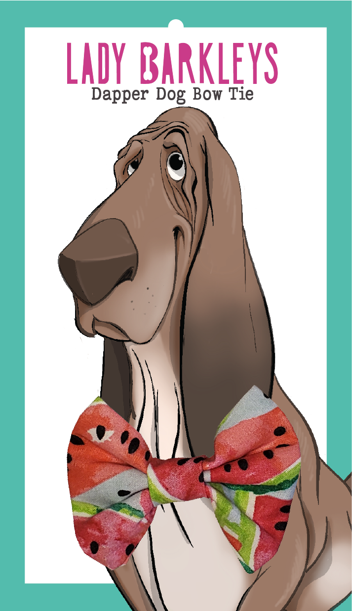 Watermelon Small Dog Bow Tie