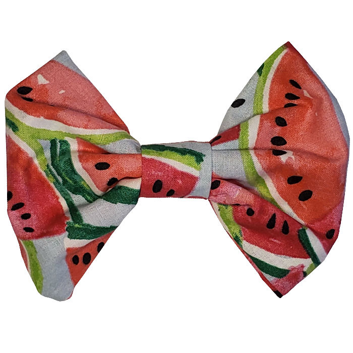 Watermelon Dog Bow Tie - Size Large