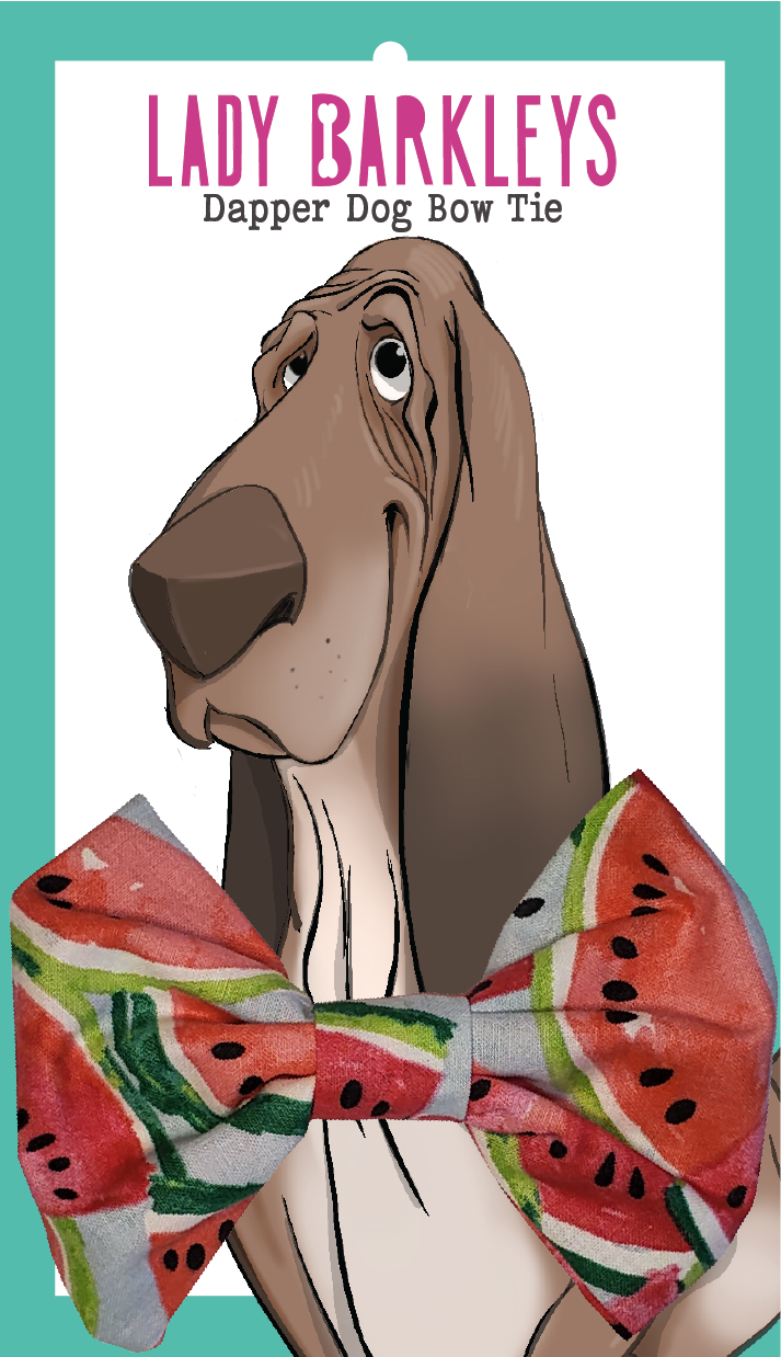 Watermelon Dog Bow Tie - Size Large